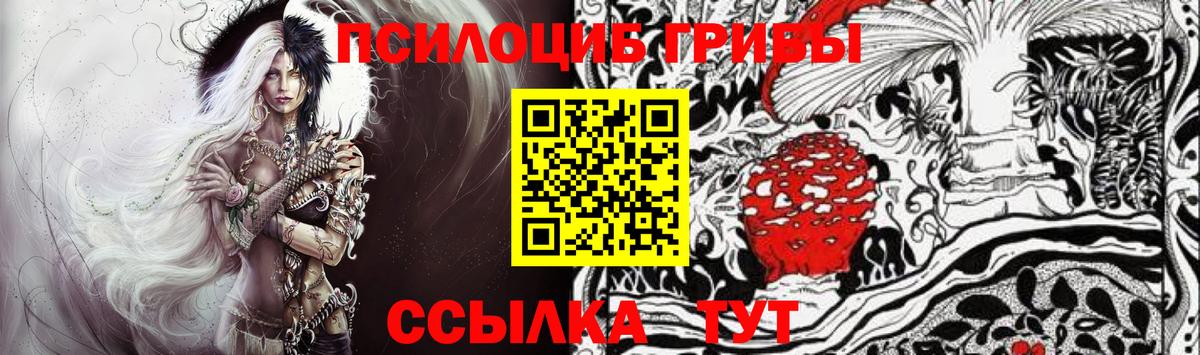 Галлюциногенные грибы мицелий Торжок